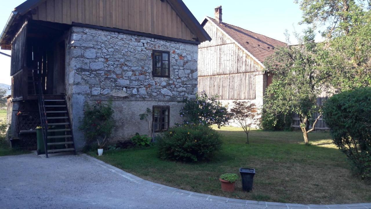 Apartma Sterle Apartment